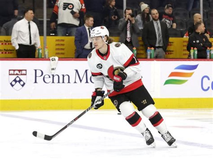 Adam Gaudette Biography, NHL player, stats, contract, earnings, salary, net worth, girlfriend, rumor, relationship, age, family