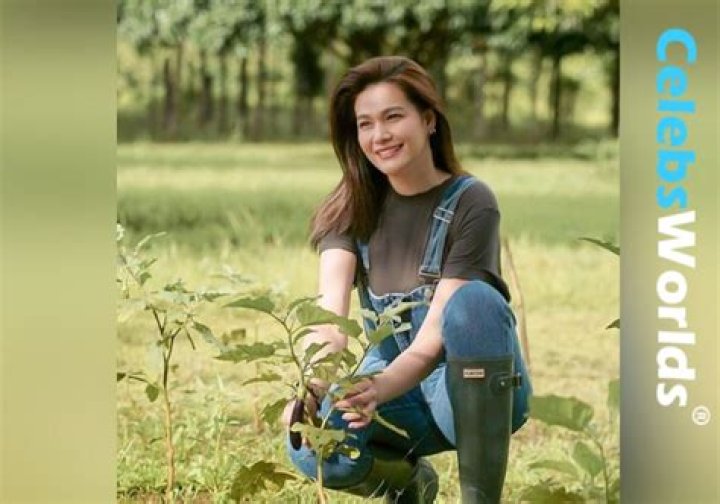 Bea Alonzo Height, Weight, Age, Boyfriend, Family, Facts, Biography