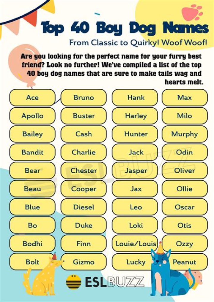165 Popular Boy Dog Names for Your New Furry Family Member