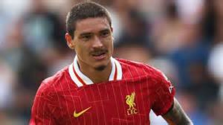 Histoire de l'enfance de Darwin Nunez et faits biographiques inchangés