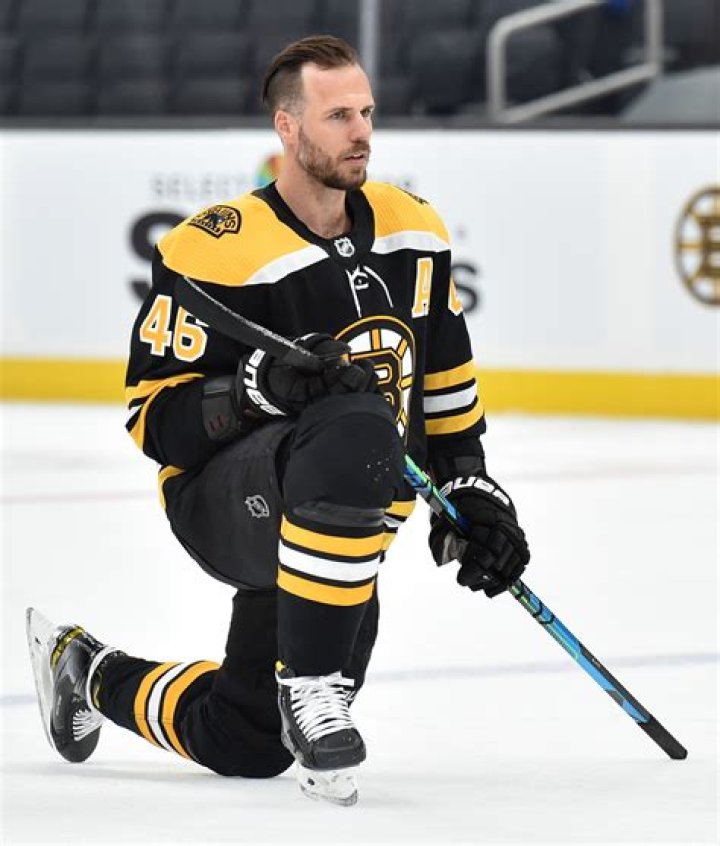 David Krejci Biography- NHL player, Salary, Earnings, Net worth, Contract, Stats, Age, Height, Family, Wife, Girlfriend, Relationship, Affair