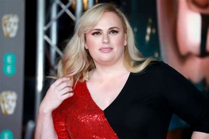 Does Rebel Wilson Have a Law Degree?