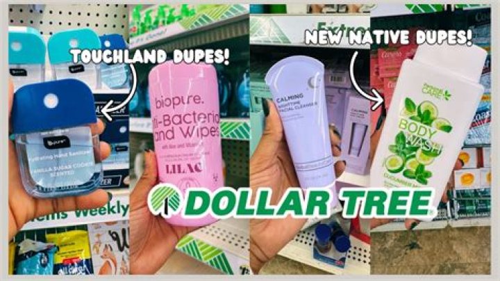 Dollar Tree Shoppers Find 6 $1.25 Dupes for Bath & Body Works, Neutrogena, and More