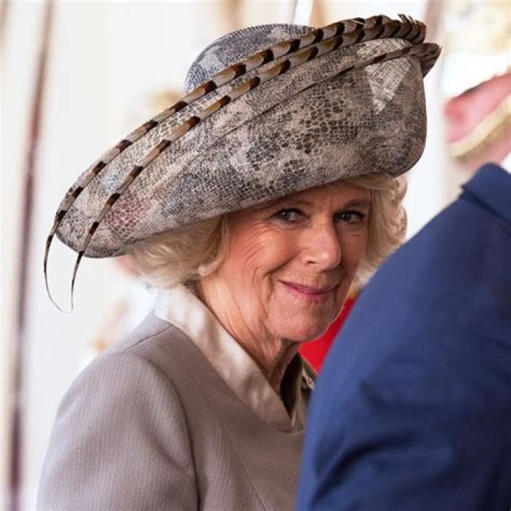 Here Are Duchess Camilla's 12 Craziest Hats of All Time