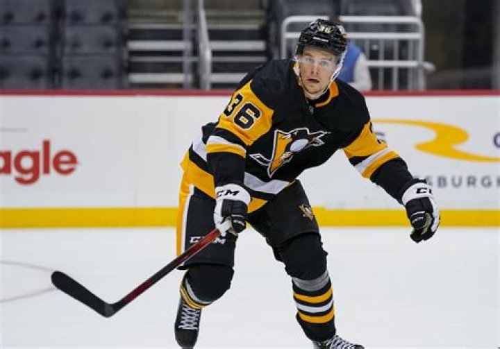 Filip Hallander's Bio, Height, Trade, Net Worth, Salary, Earnings, Girlfriend, AHL Stats