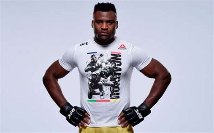 
Francis Ngannou's earnings and net worth in 2016, 2017, and 2018; Net worth Growth rate by year