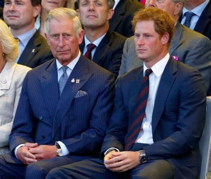 Harry & Prince Charles Just Took This Major Step Forward, Sources Say
