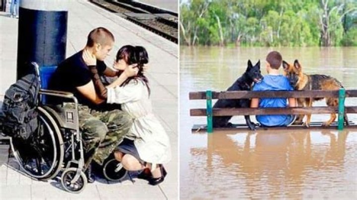 19 Heartwarming Moments From 2019 That Will Make You Smile