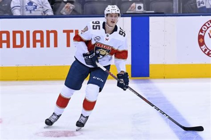 Henrik Borgstrom Biography- nhl, salary, earnings, married, relationship, career, girlfriend, age, contract, stats, family