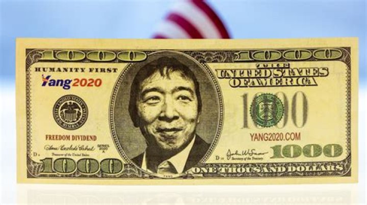 Is Andrew Yang A Billionaire?
