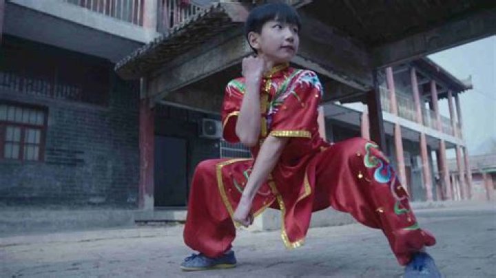 Kung-Fu Height, Weight, Age, Body Statistics