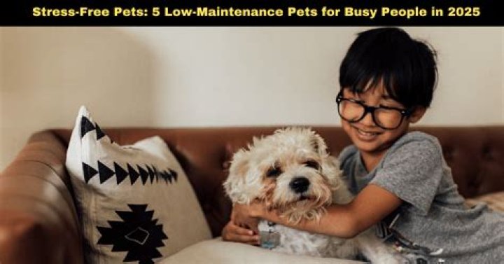 6 Low-Maintenance Pets That Can Slash Your Stress, Experts Say