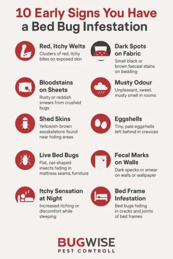 8 Signs of a Bug Infestation You Should Never Ignore, Exterminators Say