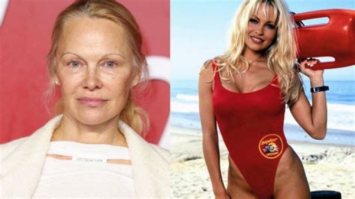 Pamela Anderson Net Worth