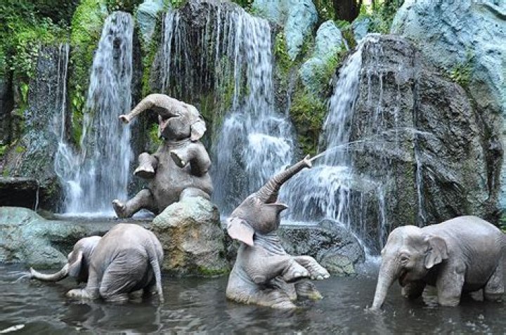 Ten Things You May Not Know About Adventureland