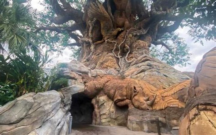 Ten Things You May Not Know About Disney’s Animal Kingdom