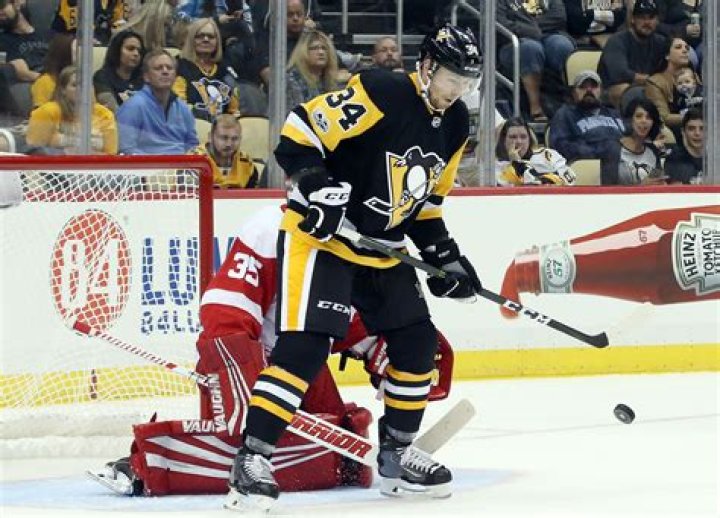 Pittsburgh Penguins's Leftwing Tom Kuhnhackl Bio, Salary, net worth, career, relationship, Affair, Married, Facts