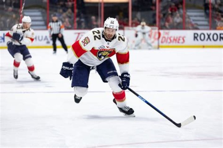 Troy Brouwer Bio - net worth, married, girlfriend, height