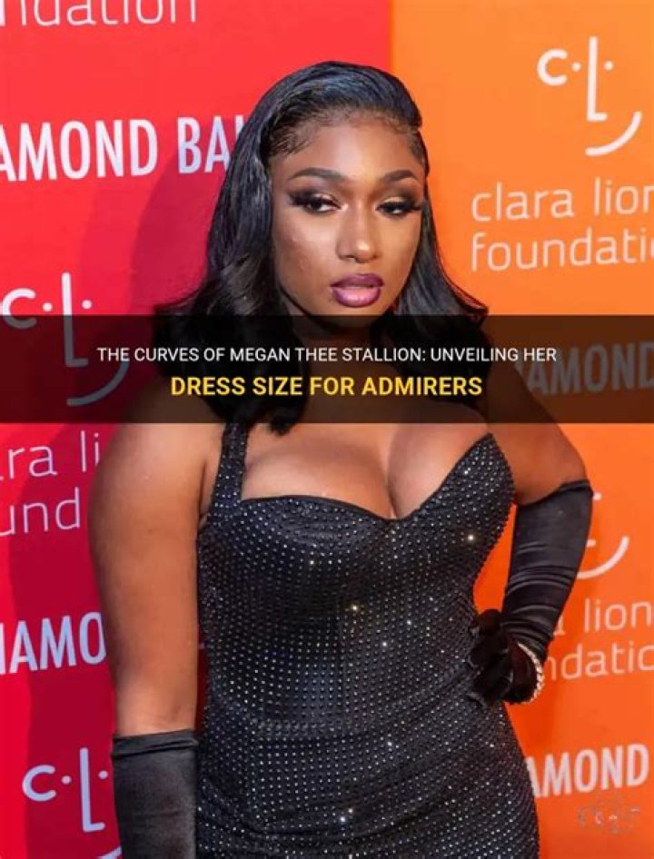 What Dress Size Is Megan Thee Stallion?