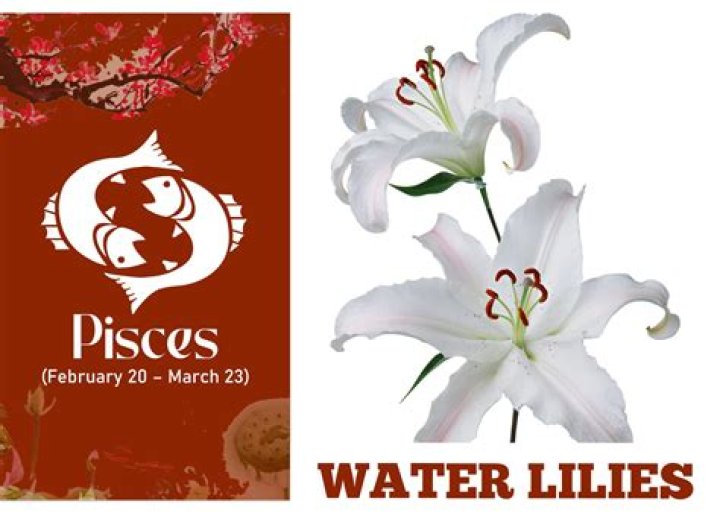 What Is Lily-Rose Depp's Zodiac Sign?