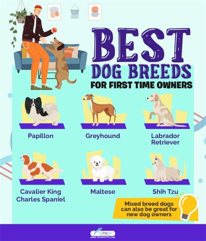 5 Worst Dog Breeds for First-Time Pet Owners, Vet Warns — Best Life